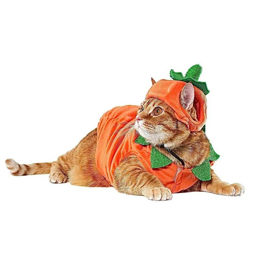 PET JACK-O’-LANTERN COSTUME NWT